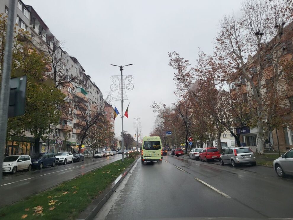 Primarul Gabriel Lazany discută problemele legate de arborii din Bistrița în cadrul unei dezbateri publice