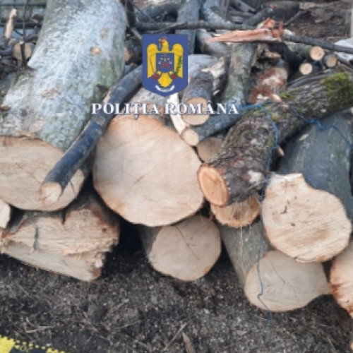 Poliția și Garda Forestieră au descoperit transport ilegal de material lemnos în județul Harghita