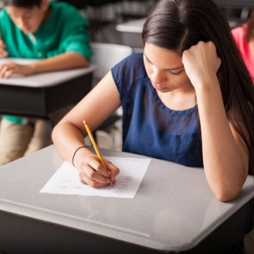 Ministerul Educației publică forma finală a programei de Limba română pentru clasa a IX-a