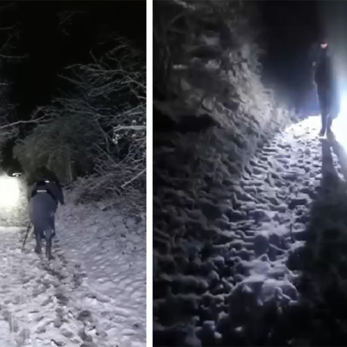 Jandarmii montani din Buzău au salvat un bărbat rătăcit în zăpadă la Viforâta