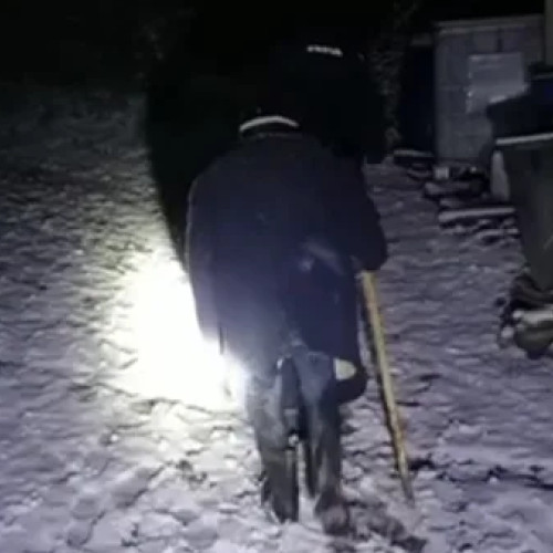 Jandarmii montani au salvat un cioban rătăcit în zăpada din Viforâta, Berca