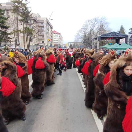 Urșii de la Comănești vor participa la Festivalul de iarnă din județul Botoșani