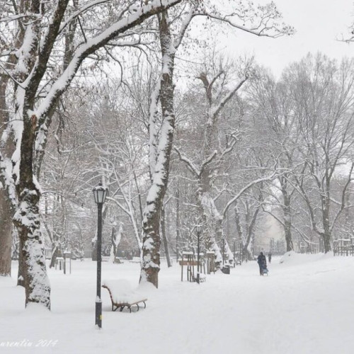 Gabriel Lazany povestește despre copilăria și legăturile cu Bistrița în emisiunea Bistrița FM