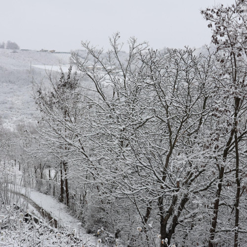 Botoșani a înregistrat cea mai rece zi a iernii în prima zi de Crăciun