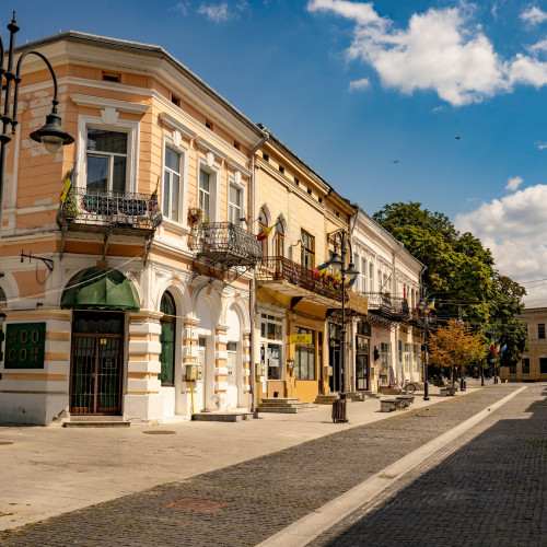 Botoșaniul, un "continent arheologic" cu peste 500 de obiective de patrimoniu